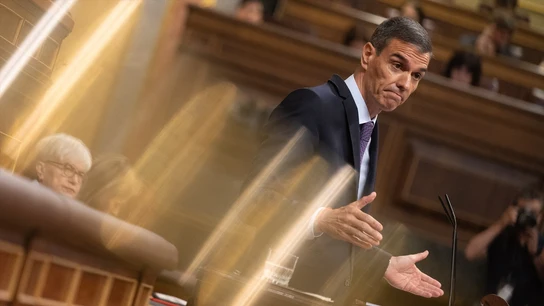 Pedro Sánchez, en el Congreso. Pedro Sánchez, en el Congreso.