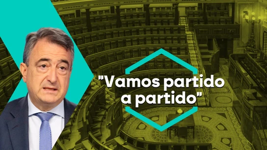 El líder del PNV, Aitor Esteban El líder del PNV, Aitor Esteban