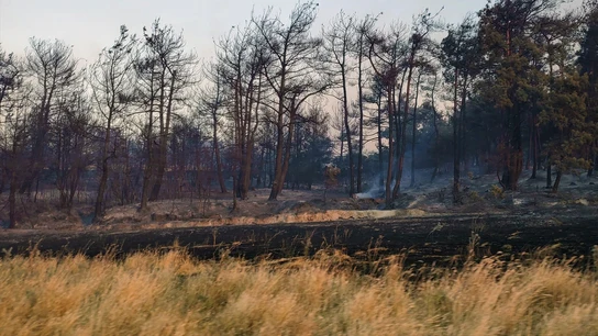Imagen de archivo de un incendio en el este de Turquía Imagen de archivo de un incendio en el este de Turquía