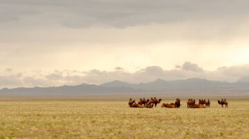 Desierto de Gobi