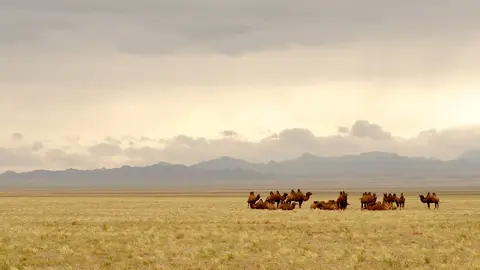 Desierto de Gobi Desierto de Gobi