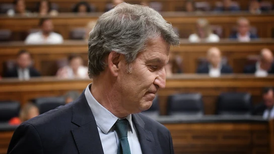 El presidente del Partido Popular (PP), Alberto Núñez Feijóo, en una imagen de archivo. El presidente del Partido Popular (PP), Alberto Núñez Feijóo, en una imagen de archivo.