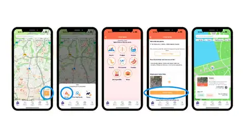 Así es Doguify Así es Doguify