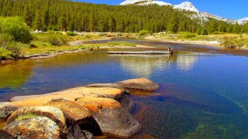 Parque Nacional de Yosemite