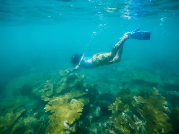 Cahuita Cahuita