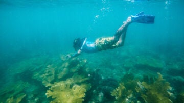 Cahuita