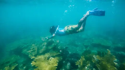 Cahuita Cahuita