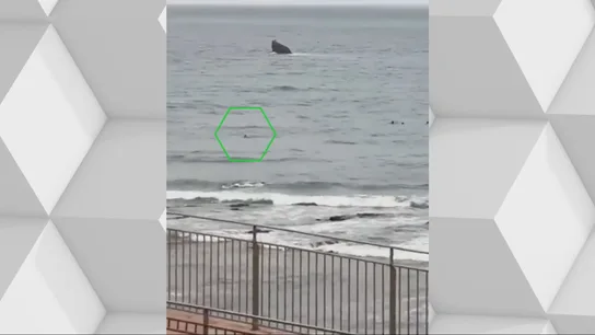 Un menor llega a nado a Ceuta. Un menor llega a nado a Ceuta.