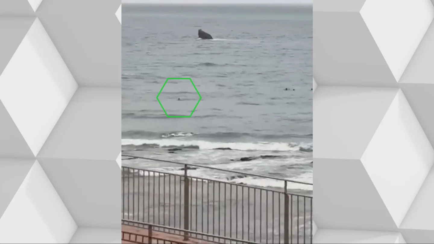 Un menor llega a nado a Ceuta. Un menor llega a nado a Ceuta.