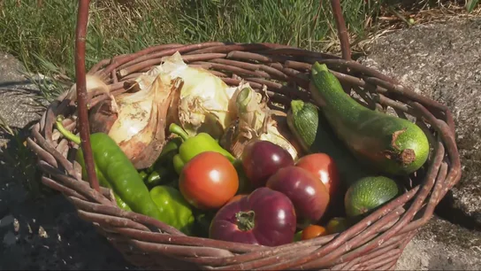 Un cuenco de fruta. Un cuenco de fruta.