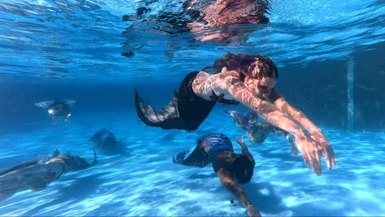 Sirenas nadando Sirenas nadando