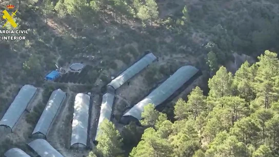 La persecución policial para detener a los responsables de la macro plantación de marihuana. La persecución policial para detener a los responsables de la macro plantación de marihuana.