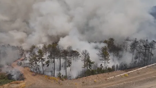 El fuego no da tregua a Turquía: más de 40 incendios arrasan el país en plena ola de calor extrema y dejan al menos 17 muertos El fuego no da tregua a Turquía: más de 40 incendios arrasan el país en plena ola de calor extrema y dejan al menos 17 muertos