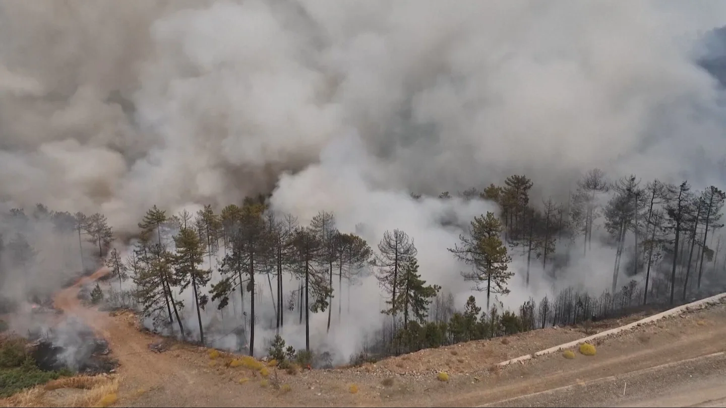 El fuego no da tregua a Turquía: más de 40 incendios arrasan el país en plena ola de calor extrema y dejan al menos 17 muertos El fuego no da tregua a Turquía: más de 40 incendios arrasan el país en plena ola de calor extrema y dejan al menos 17 muertos