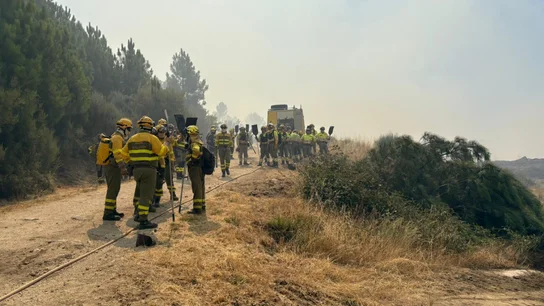 El fuego ha saltado la pista alcanzando un camión de autobomba de la UME por suerte solo daños materiales. El fuego ha saltado la pista alcanzando un camión de autobomba de la UME por suerte solo daños materiales.