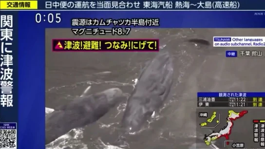 Cuatro ballenas aparecen varadas en Japón. Cuatro ballenas aparecen varadas en Japón.