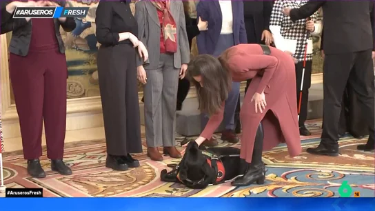 Así fue el simpático encuentro de la reina Letizia con un perro guía en una audiencia en Zarzuela: "Se agachó para acariciarle y él se tumbó" Así fue el simpático encuentro de la reina Letizia con un perro guía en una audiencia en Zarzuela: "Se agachó para acariciarle y él se tumbó"