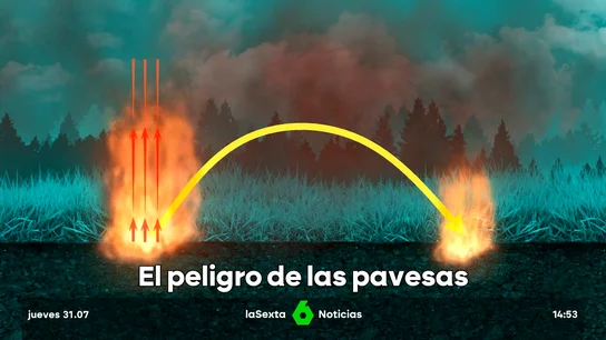 V-EL PELIGRO DE LAS PAVESAS V-EL PELIGRO DE LAS PAVESAS