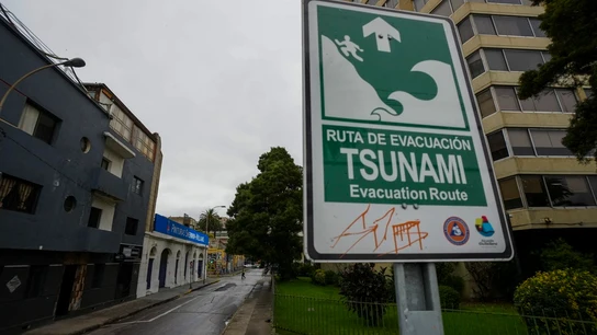 Un cartel de 'ruta de evacuación por tsunami' en Valparaíso (Chile), el 30 de julio de 2025 Un cartel de 'ruta de evacuación por tsunami' en Valparaíso (Chile), el 30 de julio de 2025