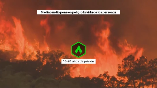 Penas de cárcel para los incendios en España Penas de cárcel para los incendios en España