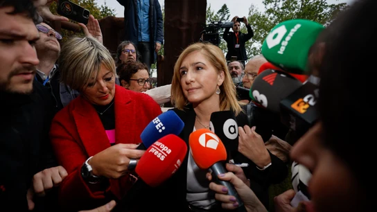 La exconsellera de Justicia e Interior del Gobierno valenciano Salomé Pradas a su llegada a los juzgados de València para declarar como investigada en la causa judicial por la gestión de la dana. La exconsellera de Justicia e Interior del Gobierno valenciano Salomé Pradas a su llegada a los juzgados de València para declarar como investigada en la causa judicial por la gestión de la dana.