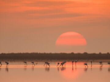 Delta del Ebro, en Tarragona