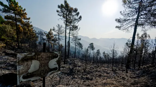 Vista de los efectos del incendio en las localidades abulenses de Mombeltrán, Cuevas del Valle y El Arenal. Vista de los efectos del incendio en las localidades abulenses de Mombeltrán, Cuevas del Valle y El Arenal.