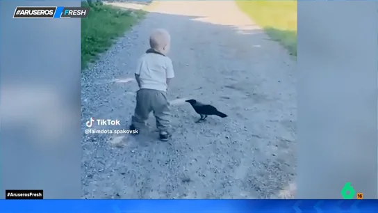 La amistad viral entre un bebé y un pájaro: "¡Se deja tocar!" La amistad viral entre un bebé y un pájaro: "¡Se deja tocar!"