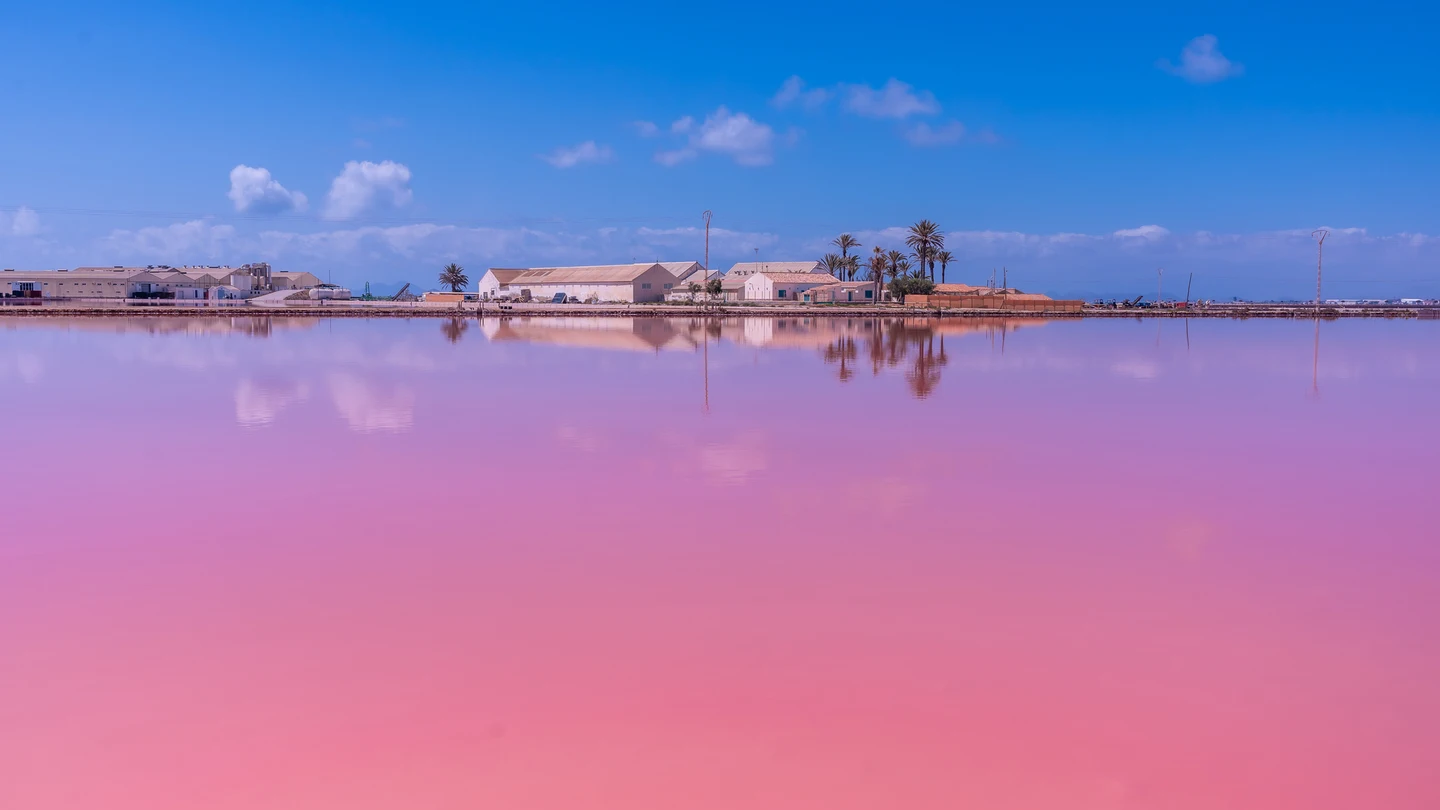 Salinas de San Pedro del Pinatar, en Murcia Salinas de San Pedro del Pinatar, en Murcia