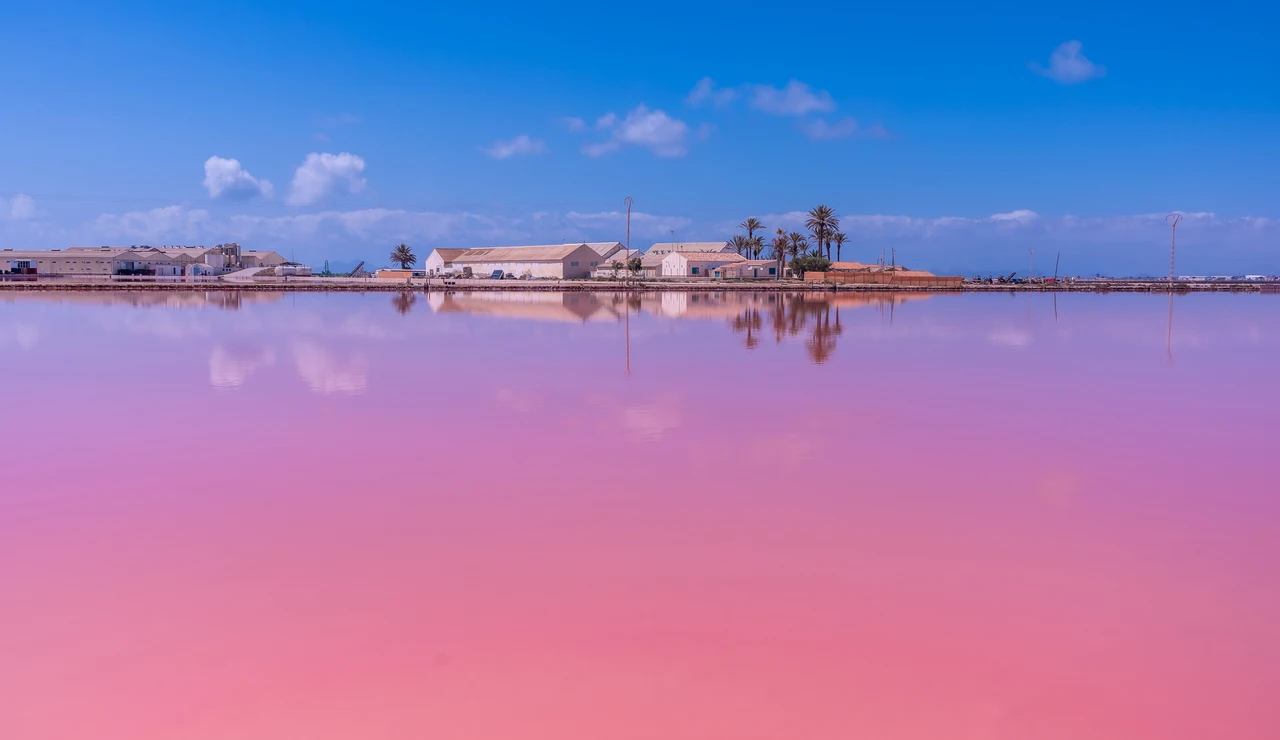 Salinas de San Pedro del Pinatar, en Murcia