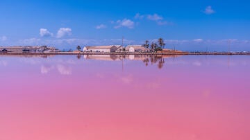 Salinas de San Pedro del Pinatar, en Murcia