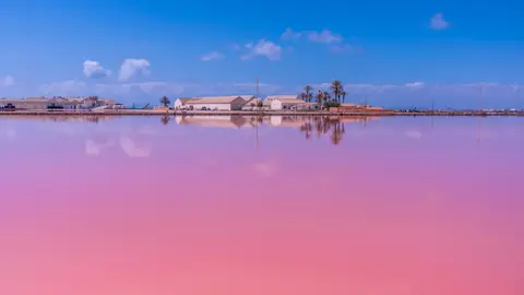 Salinas de San Pedro del Pinatar, en Murcia Salinas de San Pedro del Pinatar, en Murcia