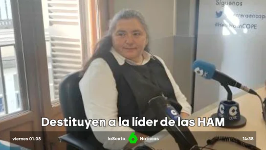 V-HISTORIA DE LAS HAM V-HISTORIA DE LAS HAM