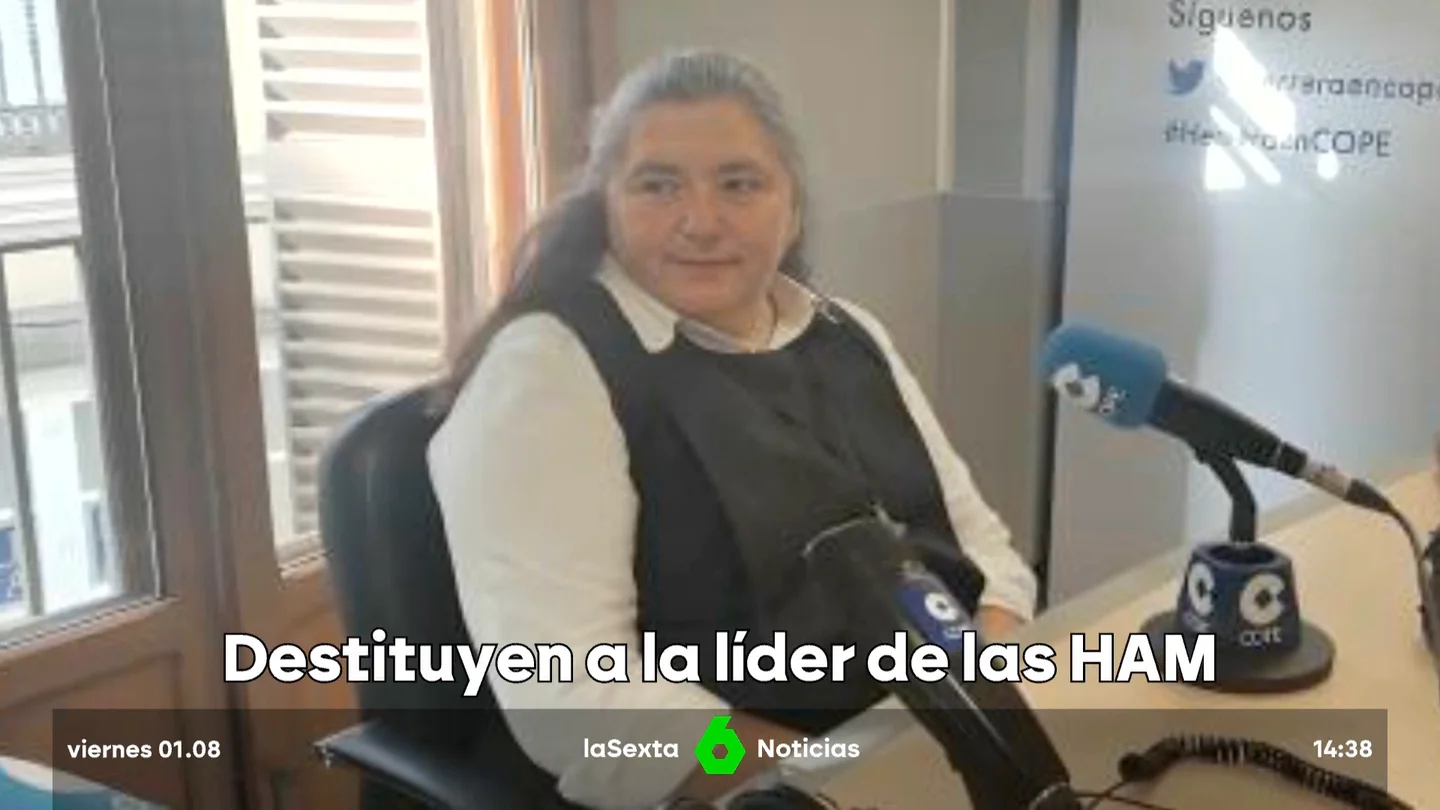 V-HISTORIA DE LAS HAM V-HISTORIA DE LAS HAM