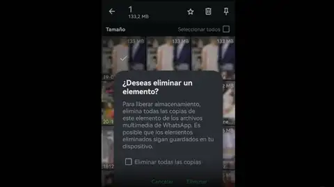 Borrar datos de WhatsApp Borrar datos de WhatsApp