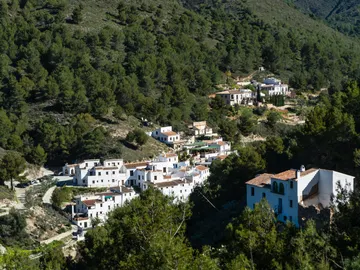 El Acebuche, destino rural en Andalucía El Acebuche, destino rural en Andalucía