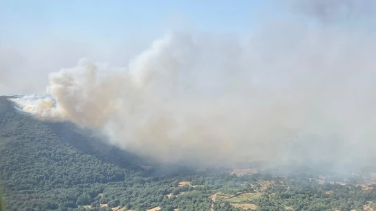 Incendio de Vilardevós (Ourense). Incendio de Vilardevós (Ourense).