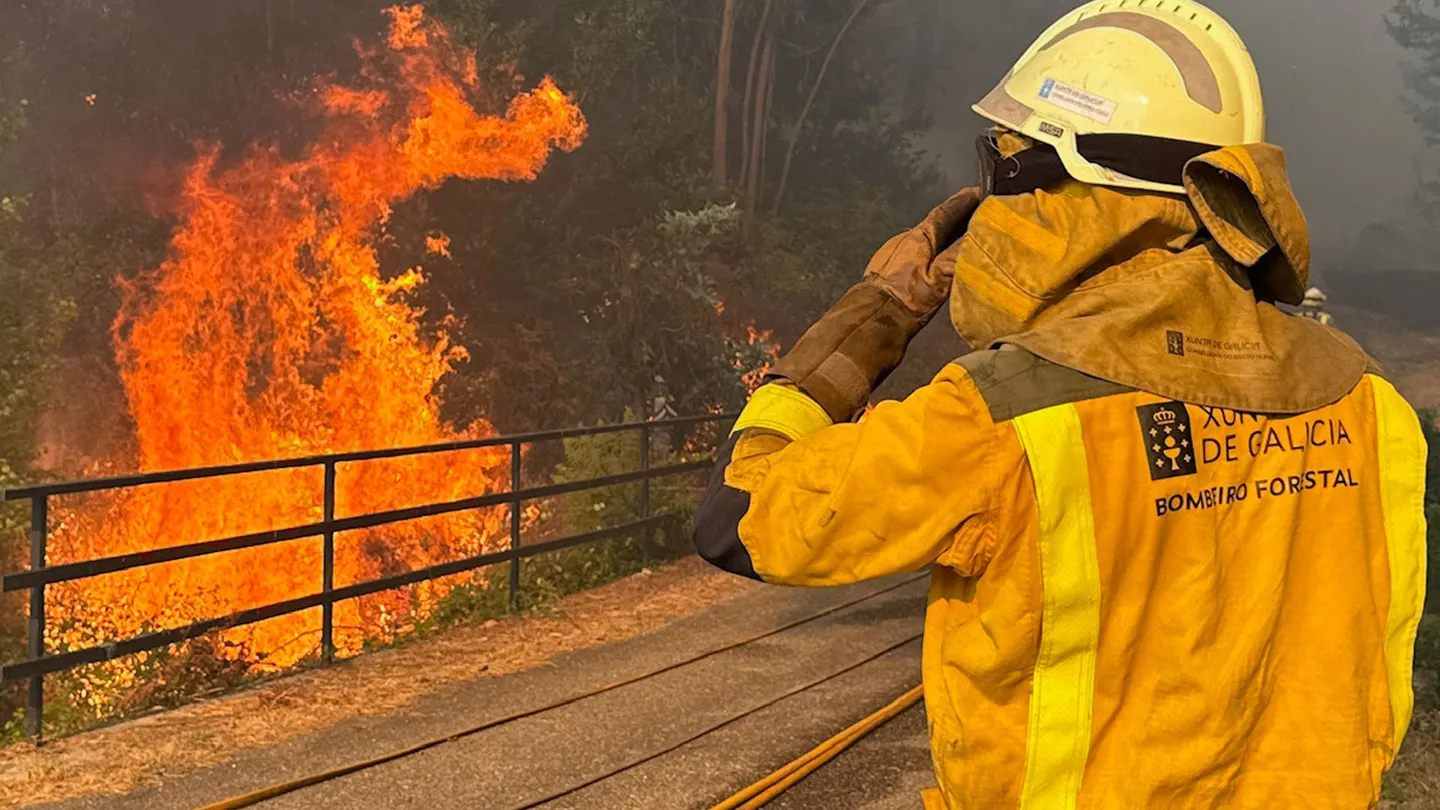 Un bombero forestal en el incendio declarado en las inmediaciones de A Cañiza (Pontevedra). Un bombero forestal en el incendio declarado en las inmediaciones de A Cañiza (Pontevedra).