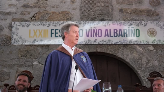 El presidente del PP, Alberto Núñez Feijóo El presidente del PP, Alberto Núñez Feijóo