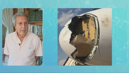 ¿Pudo acabar en tragedia el choque de un avión contra un pájaro? Las claves del piloto Palenzuela: "Se puede decir que ha habido suerte" ¿Pudo acabar en tragedia el choque de un avión contra un pájaro? Las claves del piloto Palenzuela: "Se puede decir que ha habido suerte"