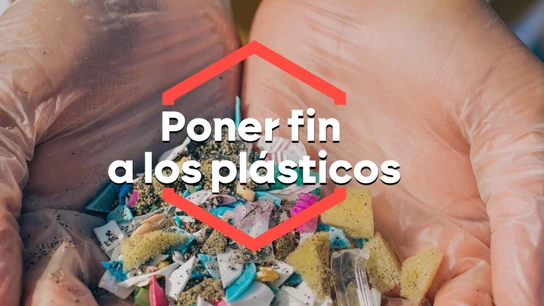 Más de 100 países se reúnen en Ginebra (Suiza) para abordar la eliminación de los microplásticos Más de 100 países se reúnen en Ginebra (Suiza) para abordar la eliminación de los microplásticos