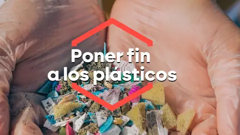 Más de 100 países se reúnen en Ginebra (Suiza) para abordar la eliminación de los microplásticos Más de 100 países se reúnen en Ginebra (Suiza) para abordar la eliminación de los microplásticos