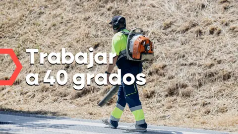 Los peligros de trabajar a más de 40 grados: "Hasta que no se va el sol no puedes ni respirar" Los peligros de trabajar a más de 40 grados: "Hasta que no se va el sol no puedes ni respirar"