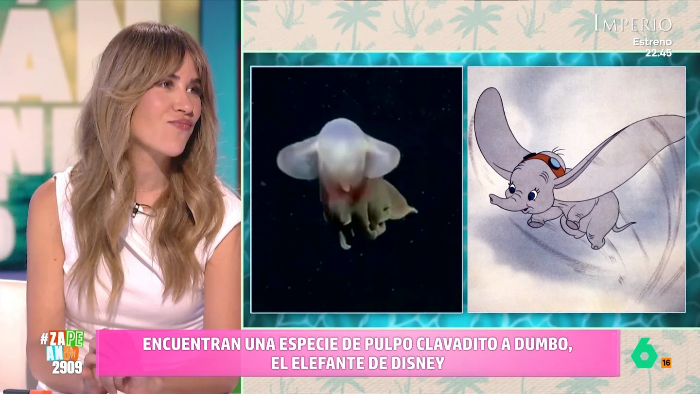 Descubren un pulpo que se parece a Dumbo: "El fondo del mar es un cachondeo hay cosas rarísimas" El popular elefante de Disney tiene ya tiene su versión marina. Este cefalópodo guarda un gran parecido con el adorable personaje.