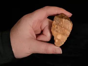 Herramienta de piedra excavada en Calio, Sulawesi Herramienta de piedra excavada en Calio, Sulawesi