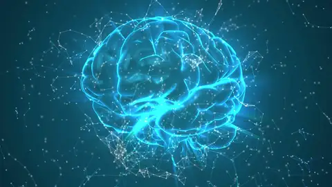 Cerebro Cerebro