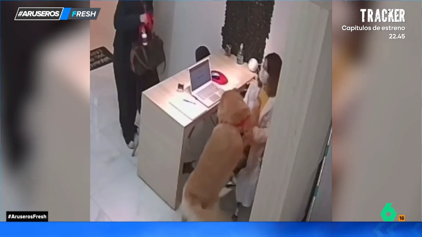 Brincos de alegría y caricias: la bonita reacción de unos perros al ver a su veterinaria Brincos de alegría y caricias: la bonita reacción de unos perros al ver a su veterinaria