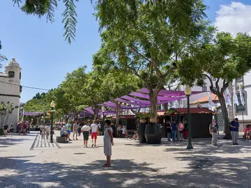 Fiesta del Vino. Madeira Fiesta del Vino. Madeira