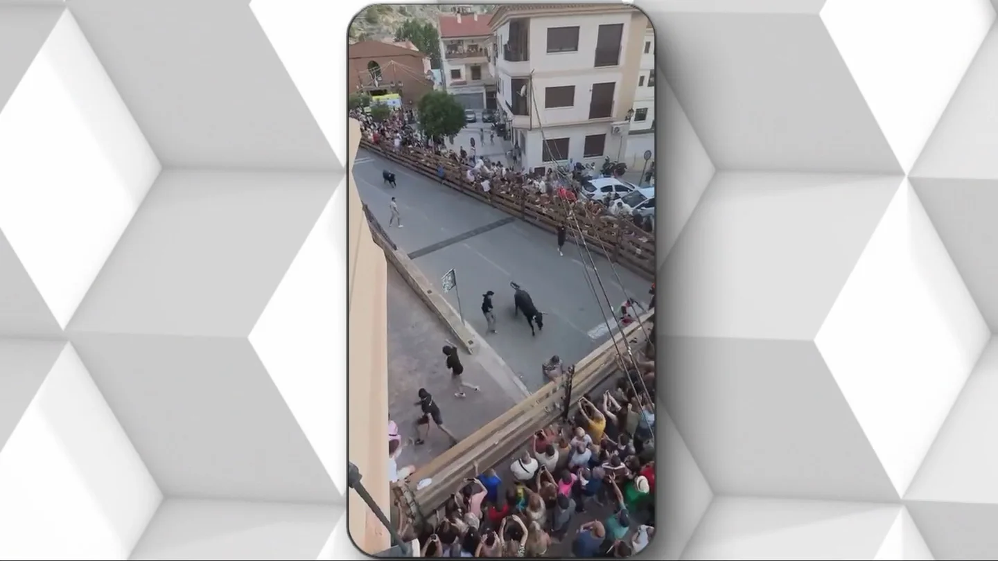Estampida en los encierros de Alcalá del Júcar: tres heridos tras embestir un toro contra el público. Estampida en los encierros de Alcalá del Júcar: tres heridos tras embestir un toro contra el público.