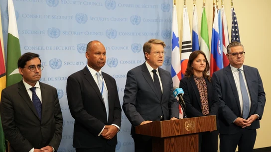 Los representantes europeos ante el Consejo de Seguridad de la ONU Los representantes europeos ante el Consejo de Seguridad de la ONU
